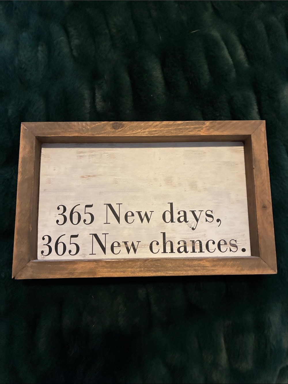 365 New Days Rustic Wood Framed Inspirational Sign - Brown/White